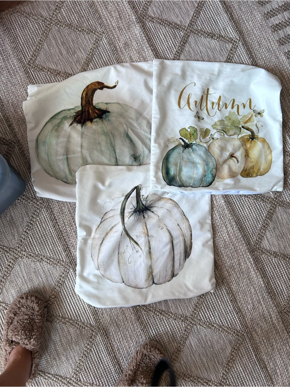 Watercolor Pumpkin Decorative Pillow Covers - Autumn Script